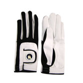 NCAA Golf Glove LH
