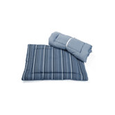 Rayo Pet Winter / Summer Pad