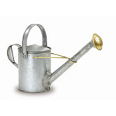 Galvanized Long Necked Watering Can