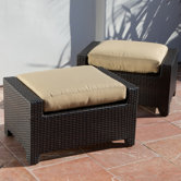 Delano Club Ottoman with Cushion (Set of 2)