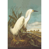 Snowy Egret Canvas Art