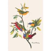 Painted Bunting Canvas Art
