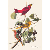 Summer Tanager Canvas Art