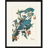 Blue Jay Framed and Matted Print
