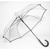 Auto-Open Clear Umbrella