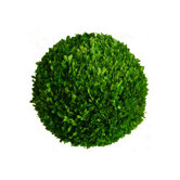 Boxwood 10" Ball