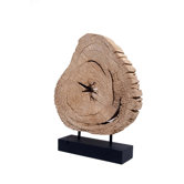 Wood Log Cross Section