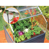 Plant Inn Clear Greenhouse
