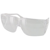 Eyeglass Protector