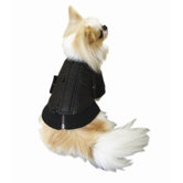 All Weather Dog Jacket in Black