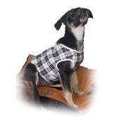 Fashion Checked Dog Vest and Lead