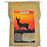 Forage Oats Seed