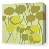 Aequorea Seedling in Pale Green