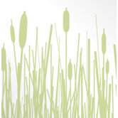 Cattails Stretched Wall Art in Celery