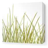 Summer Grass Stretched Wall Art