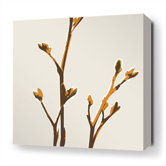 Axis Stretched Wall Art in Sunshine