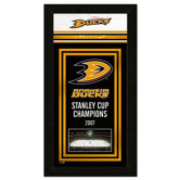 NHL Championship Banner