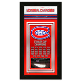 NHL Championship Banner