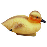 Laguna Duckling Statue
