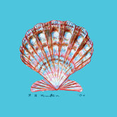 Scallop Coaster (Set of 4)