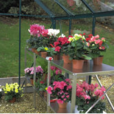 2-Section Aluminum Staging Table