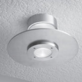 Alume 1 Light Wall/ Ceiling Mount Light