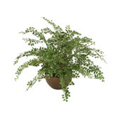 Silk Maidenhair Fern in Bowl
