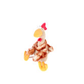 Chicken Dog Toy