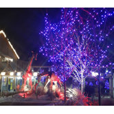 Series Circuit Commercial Grade Mini String Lights (17 Ft)