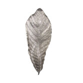 Colossal Leaf Wall Art