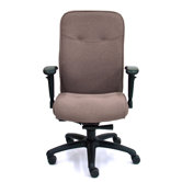 Mid-Back Karlsen Executive Chair with Arms