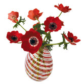 Flat Flowers Window Stickers Originals in Anemone Red