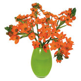 Flat Flowers Window Stickers Originals in Windlily