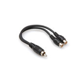 RCAM to Dual RCAF Y Cable