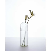 tranSglass Two Hole Vase