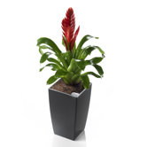 Algarve Tall Square Planter