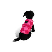 Avant Garde Prep Dog Harness