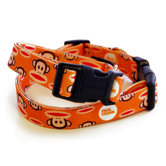 Paul Frank Signature Julius Orange Dog Collar