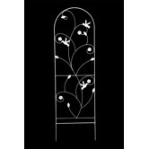 Chantilly Trellis