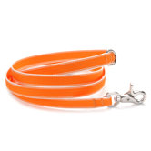 Stripe Hype Dog Leash
