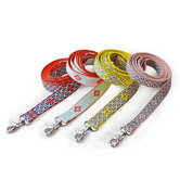 Seeing Stars Pet Lead