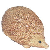 Hedgehog Garden Animal