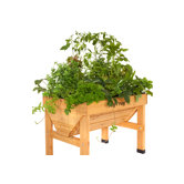Elevated Patio Planter