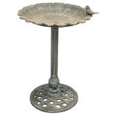 Reflection Birdbath