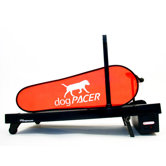 Mini Pacer Dog Treadmill