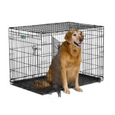 Dog Containment