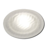 Series 100 1 Light Recessed Trim Light