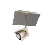 Accent 1 Light Ceiling Spot Light