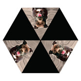 Pit Bull Umbrella