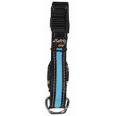 Dog Collar